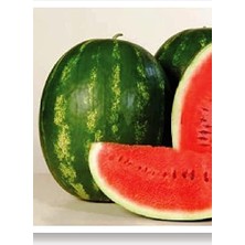 CetKing Tarım Ata Tohumu Doğal Diyarbakır Kapruzu 100 Adet Tohum