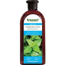 CetKing Isırgan Otu Bakım Şampuanı Yağlı Saçlar Için 300 ml