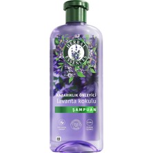 CetKing Essences Kabarıklık Önleyici Lavanta Kokulu Şampuan 350ML