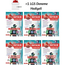 Nartest Yayınları 8.sınıf (Lgs) Tüm Dersler 36 Haftalık Denemeler (6 Kitap) +1 Lgs Deneme Hediyeli