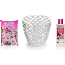 CetKing Botanik Kristal Orkide Saksı 3 Lt Orkide Toprağı 225 ml Sıvı Besin