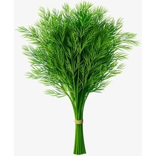 CetKing Garden Doğal Dereotu Tohumu 1000 Ad. Tohum