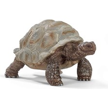 CetKing Dev Tosbağa