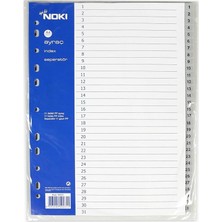 CetKing 59231 1-31 Rakamlı Seperatör