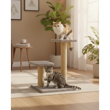 Reyo Çift Stepli Kedi Tırmalama Gri