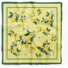 Dscarf Kadın Fular Bandana