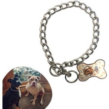 Buffer® 65 cm Uzunlukta Zincir Model Köpek Için Boyun Tasması