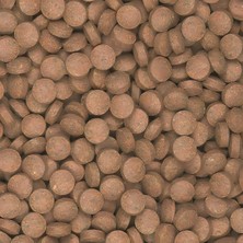 Tropical Supervit Tablets B 250 Adet Kovadan Bölme