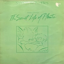 Plak İstasyonu Stevie Wonder's Journey Trought The Secret Life Of Plants Double Lp Plak