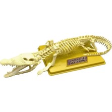 NessiWorld Timsah Iskeleti Bilim Seti