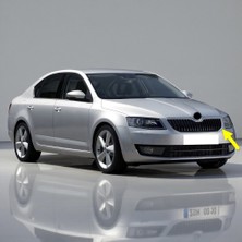 Vass41 Skoda Octavia 2013-2017 Ön Panjur Çerçevesi Nikelaj Tip 5E0853651