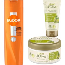 Dalan D'olive Besleyici El & Vücut Kremi Seti 250 ml + 60 ml + Elidor Şampuan 400ML Onarıcı