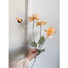 Rose Garden Decor 1 Kalite Somon 4 Lü Gelincik Çiçeği Tek Dal