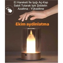 Elioure Ekim Aydınlatma Tokyo Hareket Algılamalı Dimmerli Şarjlı Masa Lambası CT8432