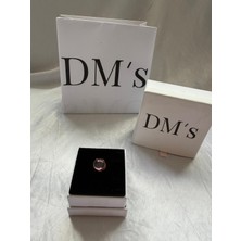 DMs Silver Taşlı Saydam Işıltılıı Gümüş Charm'ı