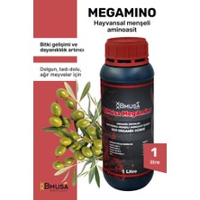 Bmusa Megamino 1 Lt