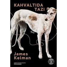 Everest Yayınları Kahvaltıda Tazı + D-Day: Son Durak + Bana Hiç Yazmayan Dünyaya: Emily Dickinson – Şiirler, Çeviri Kararları, Yorumlar