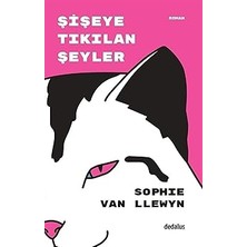 Alfa Yayınları Şişeye Tıkılan Şeyler + Paris’in Gizemleri (Ciltli)