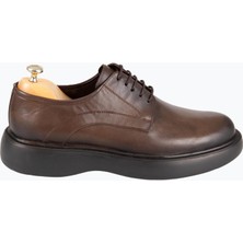 HC MEN CLASSIC Bağcıklı Yüksek Taban Ayakkabı Kahverengi