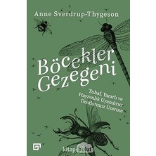 Alfa Yayınları Böcekler Gezegeni: Tuhaf, Yararlı ve Hayranlık Uyandırıcı Dostlarımız Üzerine + Ihtiyacımız Olan Felsefe