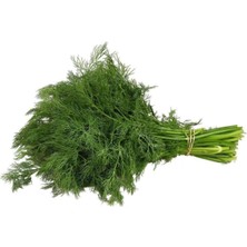 Dere Otu Tohumu 10 gr