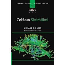 Alfa Yayınları Zekanın Sinirbilimi + Akılcı Iyimser: Refahın Evrimi + Hayat Problem Çözmektir