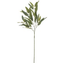 Mudo Home OKALİPTÜS YEŞİL DAL ÇİÇEK 78 CM