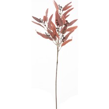 Mudo Home OKALİPTÜS BORDO DAL ÇİÇEK 78 CM
