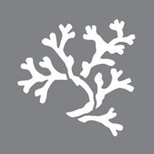 Artikel Artikel Coral Stencil Tasarımı 30 x 30 cm