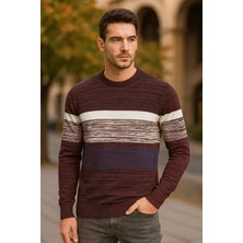 Weisman Pamuk  Bisiklet Yaka  Çizgili Erkek Triko Kazak