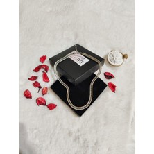 CC Desing Silver Balık Sırtı Zincir Kolye