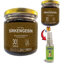 Ibn-I Sina Sirkengebin: 2 Adet Ballı Sirkeli Sarımsaklı Aromatik Prebiyotik Macun + 30 ml Çörek Otu Masaj Yağı