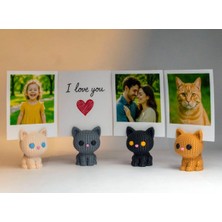 Nana Art  4' Lü Kedi Fotoğraf Tutucu Mini Biblo Seti