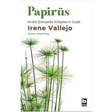 Kapı Yayınları Papirüs - Antik Dünyada Kitapların Icadı + Marifetname 1-2 (Ciltli - Kutulu Set)