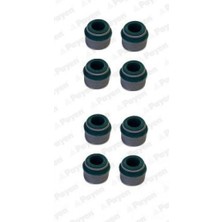 PAYEN Xmpdby Subap Lastiği Renault R9-R11-R12-R19 Clio-Kangoo-Laguna 1.4 1.9d