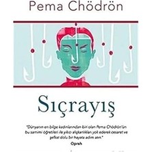 Alfa Yayınları Sıçrayış + Dünyaya Değil Kendine Meydan Oku + Bir Ömür Nasıl Yaşanır?: Hayatta Doğru Seçimler Için Öneriler
