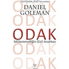 Alfa Yayınları Odak: Mükemmelliğin Gizli Anahtarı + Nakit Akışı - Ölçüm Çeyreği: Zengin Baba'nın Mali Özgürlük Rehberi
