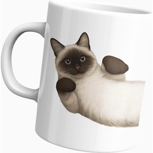 Shop Kedi Sarmalı Temalı Kupa