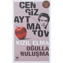 Ötüken Neşriyat Kızıl Elma - Oğulla Buluşma + 2025 Paragraf Sıfır Risk