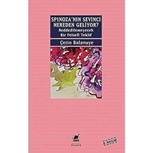 Ayrıntı Yayınları Spinoza'nın Sevinci Nereden Geliyor?: Reddedilemeyecek Bir Felsefi Teklif + Sonluluğun Sonrası + Ermiş