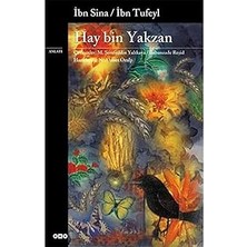 Yapı Kredi Yayınları Hay Bin Yakzan + Ilkçağ Felsefe Tarihi 2: Sofistlerden Platon’a + Madde ve Bellek: Beden-Tin Ilişkisi Üzerine Deneme