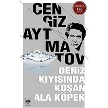 Ötüken Neşriyat Deniz Kıyısında Koşan Ala Köpek + Levent Iz Peşinde 5 Set - 5 Kitap