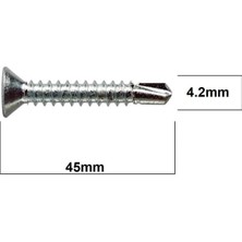 Tuna Matkap Uçlu Vida 4.2X45 10 Adet