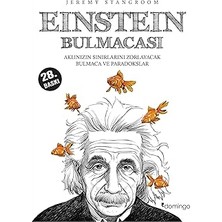 Domingo Yayınevi Einstein Bulmacası: Aklınızın Sınırlarını Zorlayacak Bulmaca ve Paradokslar
