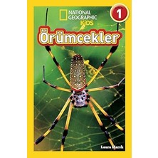 Beta Kids Örümcekler: National Geographic Kids - Seviye 1 (Kapak Değişebilir)