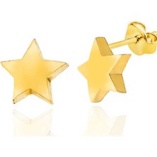 Özcömert Silver Gümüş Gold Yıldız Çivili Kadın Küpe