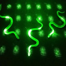 Arthurs Yılan Kırkayak Şaka Oyuncağı 36 Adet