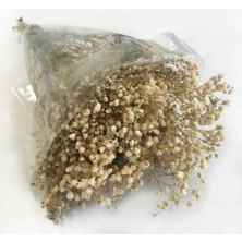 Evsay 1 Demet Doğal Cipso Çiçek Kırmızı ( 18 cm * 40 cm ) ( 50 Gram) Parti Süslemeleri Naturel