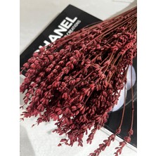 Ziva Dekor Pembe Şoklanmış Lavanta Dökülmez 50GRAM