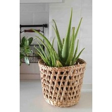 Ss Eral Koop Hasır Saksı Tasarım Dekoratif Balkon Bahçe Mutfak Dekorasyonu Modeli (Çap 21 cm Uzunluk 17 cm )